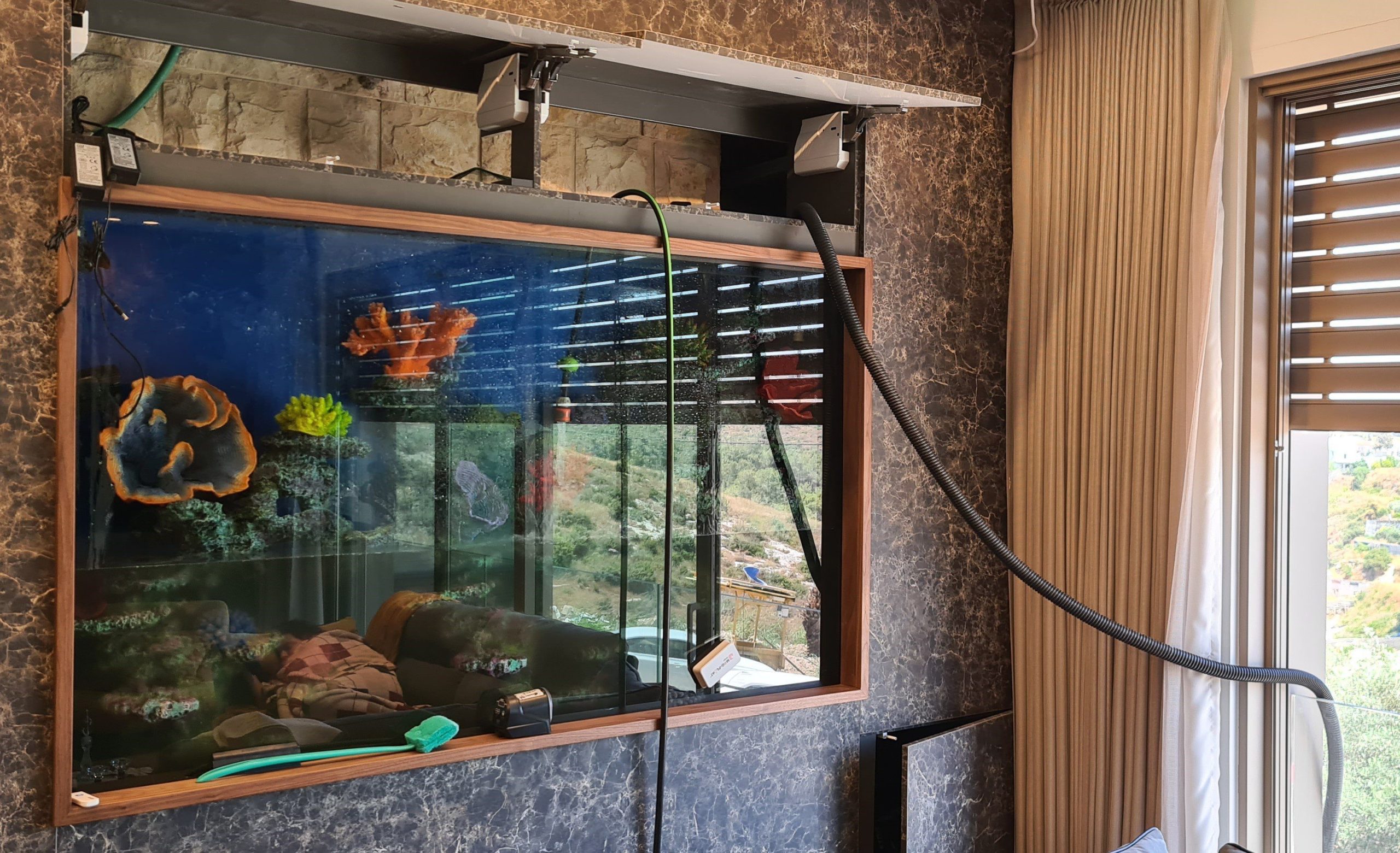 החלפת מים באקוויום מים מלוחים