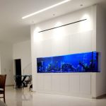 הקמת אקווריום מעוצב