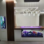 אקווריום דו צדדי