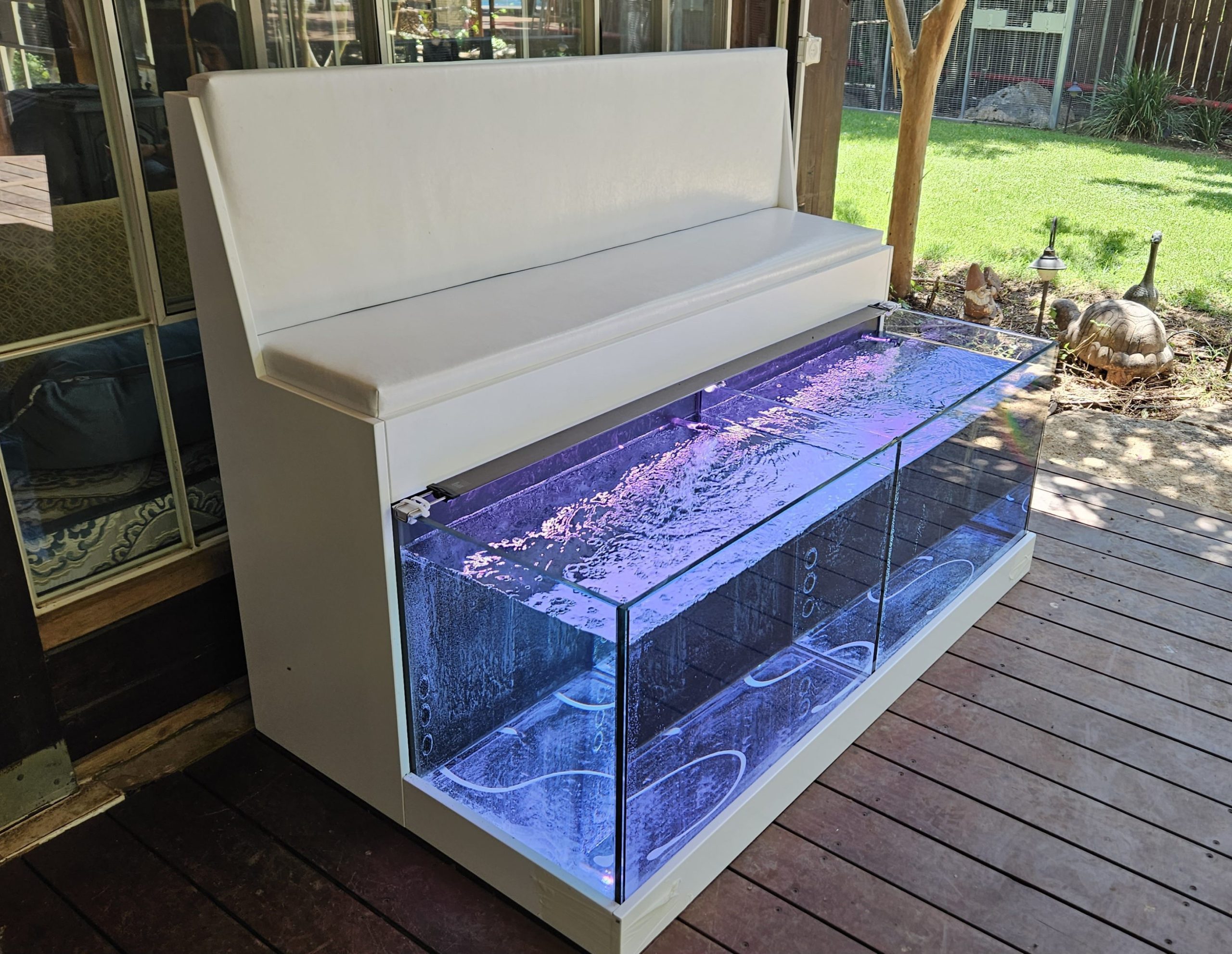 אקווריום פדיקור דגים