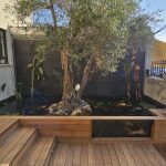 WhatsApp Image 2024-11-09 at 08.56.00