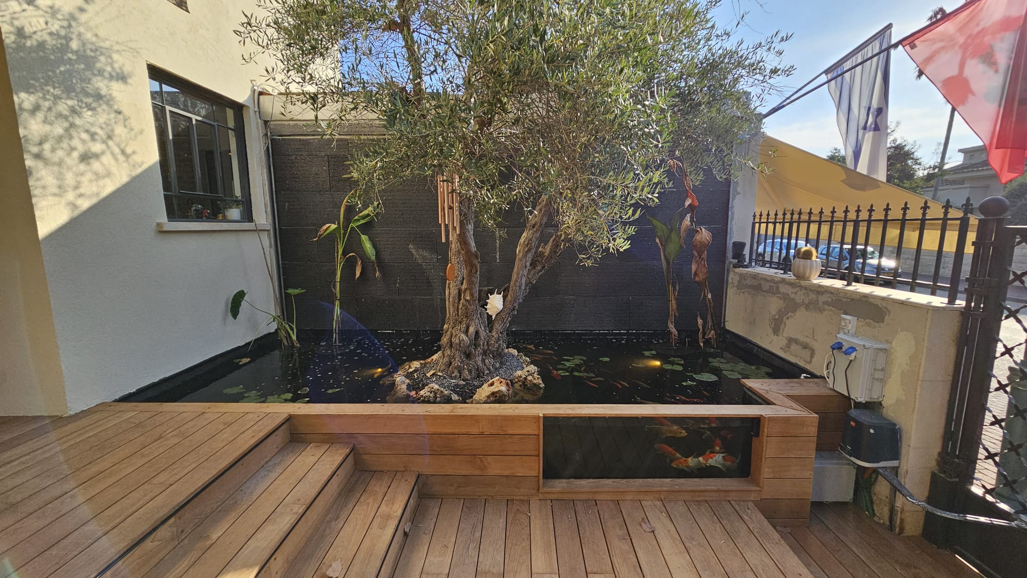 WhatsApp Image 2024-11-09 at 08.56.00