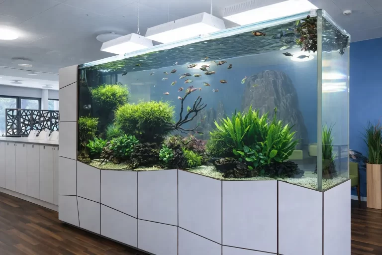 ChatGPT Image Feb 9, 2026, 01_37_19 AM