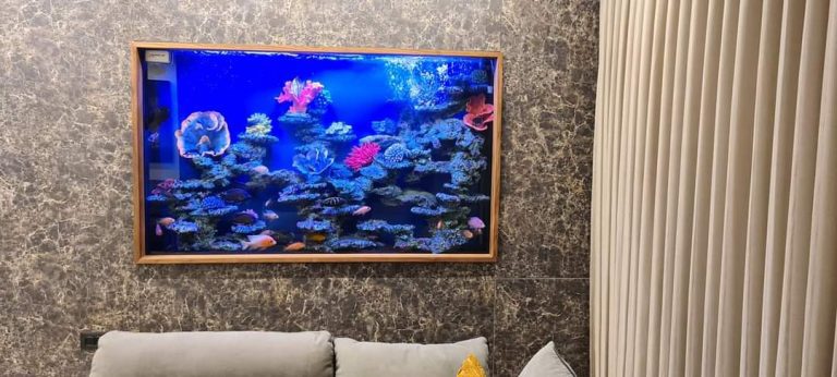 FB_IMG_1718299529269