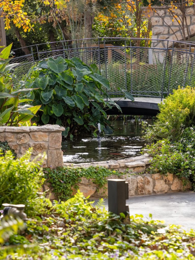 FB_IMG_1770385752793